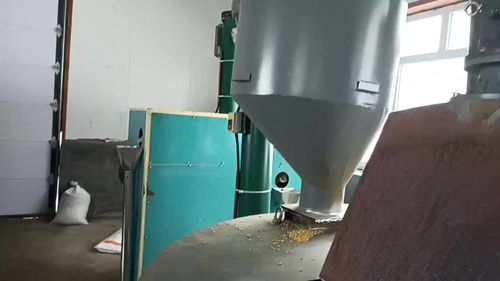 大豆榨油機(jī)廠家